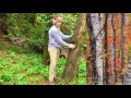 Temperate Deciduous Forest Biome