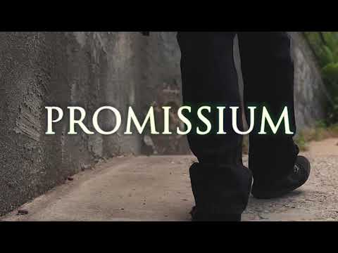 A Promise - Promissum