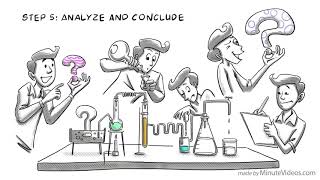 The Scientific Method Steps, Examples, Tips, and Exercise