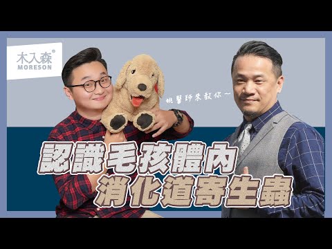 狗狗大便有白色的蟲