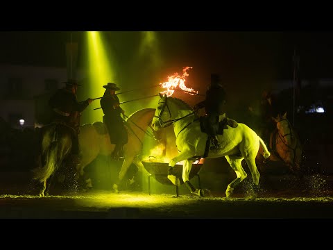 Golegã Horse Fair 2021