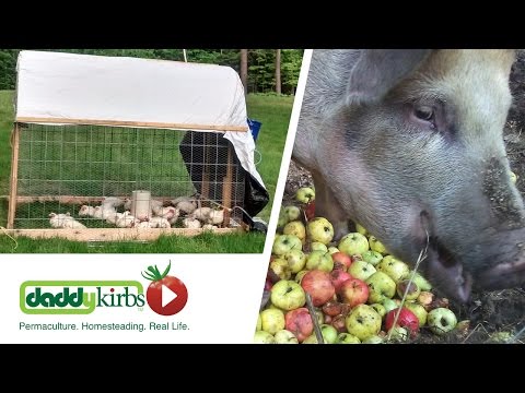 HOMESTEADING Resources! - Monday Meetups with Lumnah Acres!