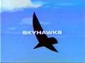 Skyhawks Intro