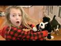 Girl Thought She Was Only Getting Toy Puppy
