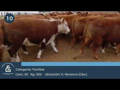 Lote Nv Consumo - Villa Huidobro Córdoba