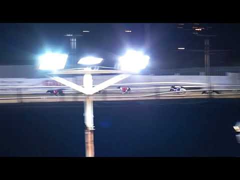 2017 WILLIAM HILL PUPPY DERBY - 1ST SEMI - T1 STOLE MY BABY