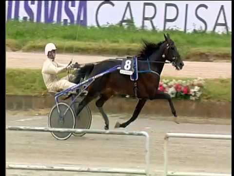 Trotto 14/06/2018 - 5ª corsa