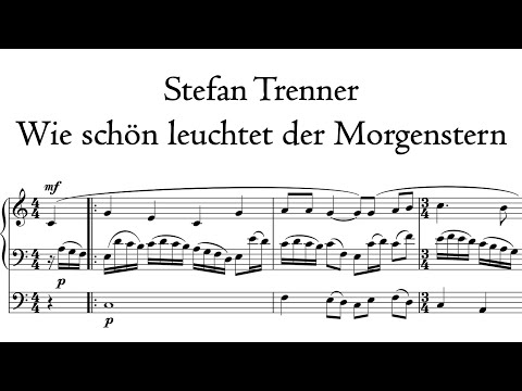Trenner - Wie schön leuchtet der Morgenstern - Hildebrandt organ, Sangerhausen, Hauptwerk