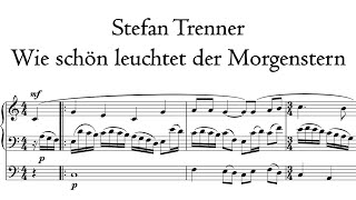 Trenner - Wie schön leuchtet der Morgenstern - Hildebrandt organ, Sangerhausen, Hauptwerk
