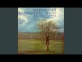 Symphony No. 1 in B flat major, Op. 38 "Spring" II. Larghetto