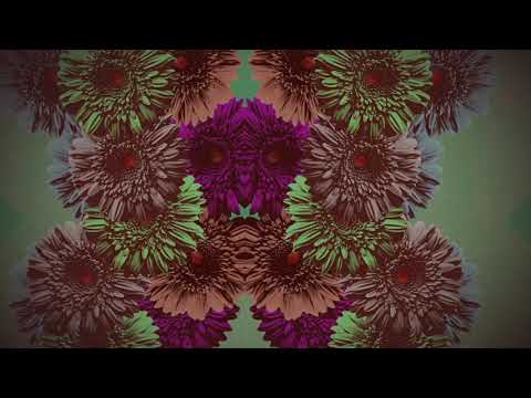 Video thumbnail for Silencio