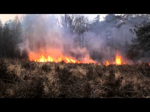 22 03 2013 flinke heidebrand Stationsweg Barneveld