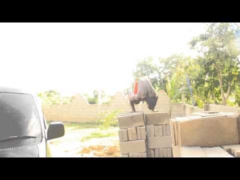 zola d king streetworkout