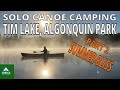 Tim Lake ALGONQUIN PARK - Solo Canoe Camping - Part 2 - Summer Bliss
