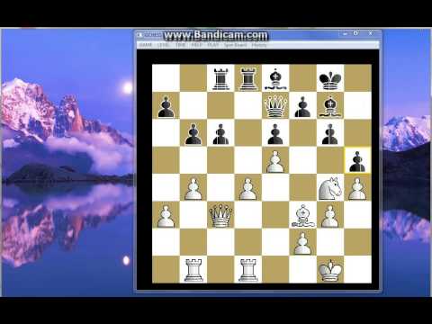 MEČEVI ŠAMPIONA -  Kapablanka vs Aljehin ,  XI partija sa cetiri Dame - Buenos Aires 1927 god # 161