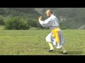Shaolin Qi Xing Quan Shi Yong Zhi 少林七星拳