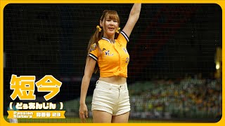 進擊取勝📣 短今（Sammie）Passion Sisters 中信兄弟啦啦隊  cheerleader 치어리더 臺中洲際棒球場 2024/6/9【台湾チアTV】
