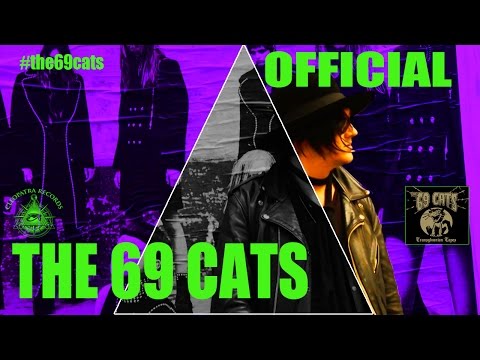 The 69 Cats "Werewolves Of London" (Official Video)