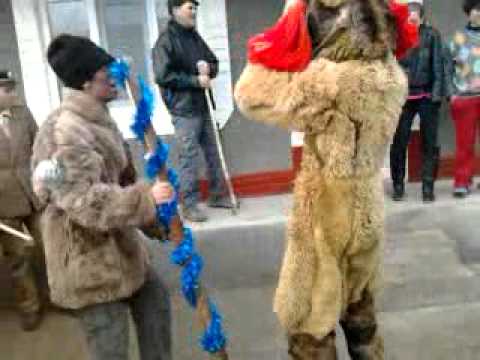 Malanca cristesti jud. Vaslui