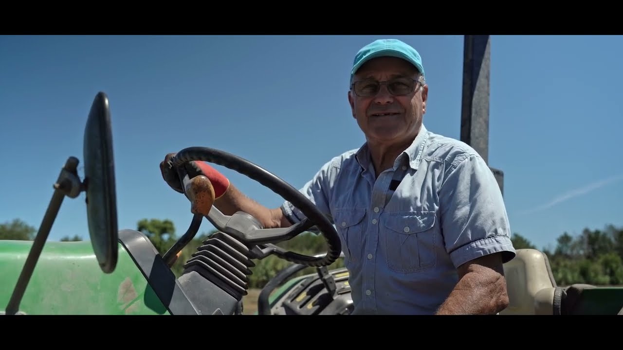 DOCUMENTÁRIO - BATATA-DOCE LIRA. A GENUÍNA DE ALJEZUR