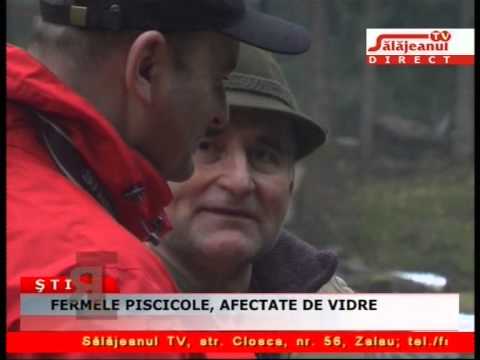 FERMELE PISCICOLE, AFECTATE DE VIDRE