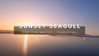 FPV Sunset with seagulls in Sardinia