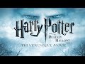 Harry Potter And The Deathly Hallows Part 1 Video Game Movie XBOX 360 Gameplay