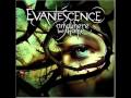 Evanescence - Farther Away [Live]