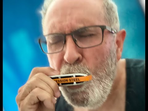 Seydel Blues Session Steel vs Hohner Special 20