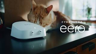 eero (イイロ) Web CM | はじめまして、イイロです 篇 - 15秒