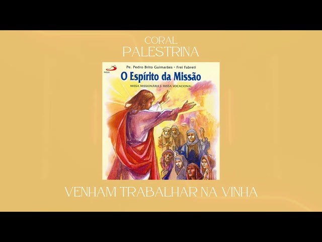 Preview do vídeo