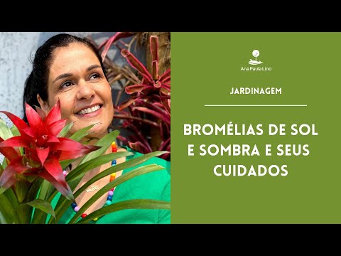 GARDENING: Which Bromeliads are for sun/shade and how to care for them?