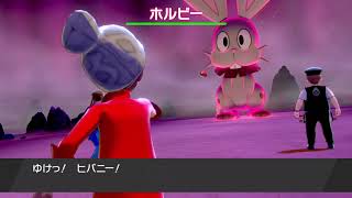 ♯３【ポケモン剣盾】ポケモン大量ゲット