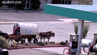 Cross Country Horse and Covered Wagon Trip