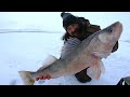 Video Thumbnail for Diefenbaker Ice Walleye 30” BEAST