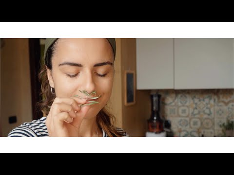 L'unico limite è l'immaginazione - LA NOSTRA STORIA | Elefanteveg