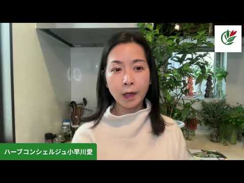 医療ビジネス薬科学科 レモンマートルの魅力と活用方法