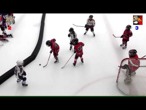 2016.09.24 Vasas - Szombathelyi pingvinek Mini C torna