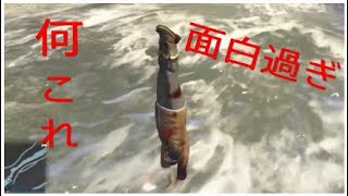 ［グラセフ5]人で持て遊ぶ動画