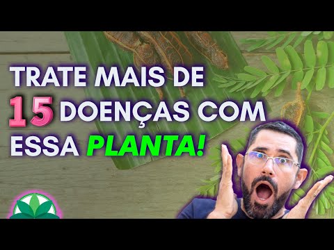 Trate mais de 15 problemas com tamarindo!