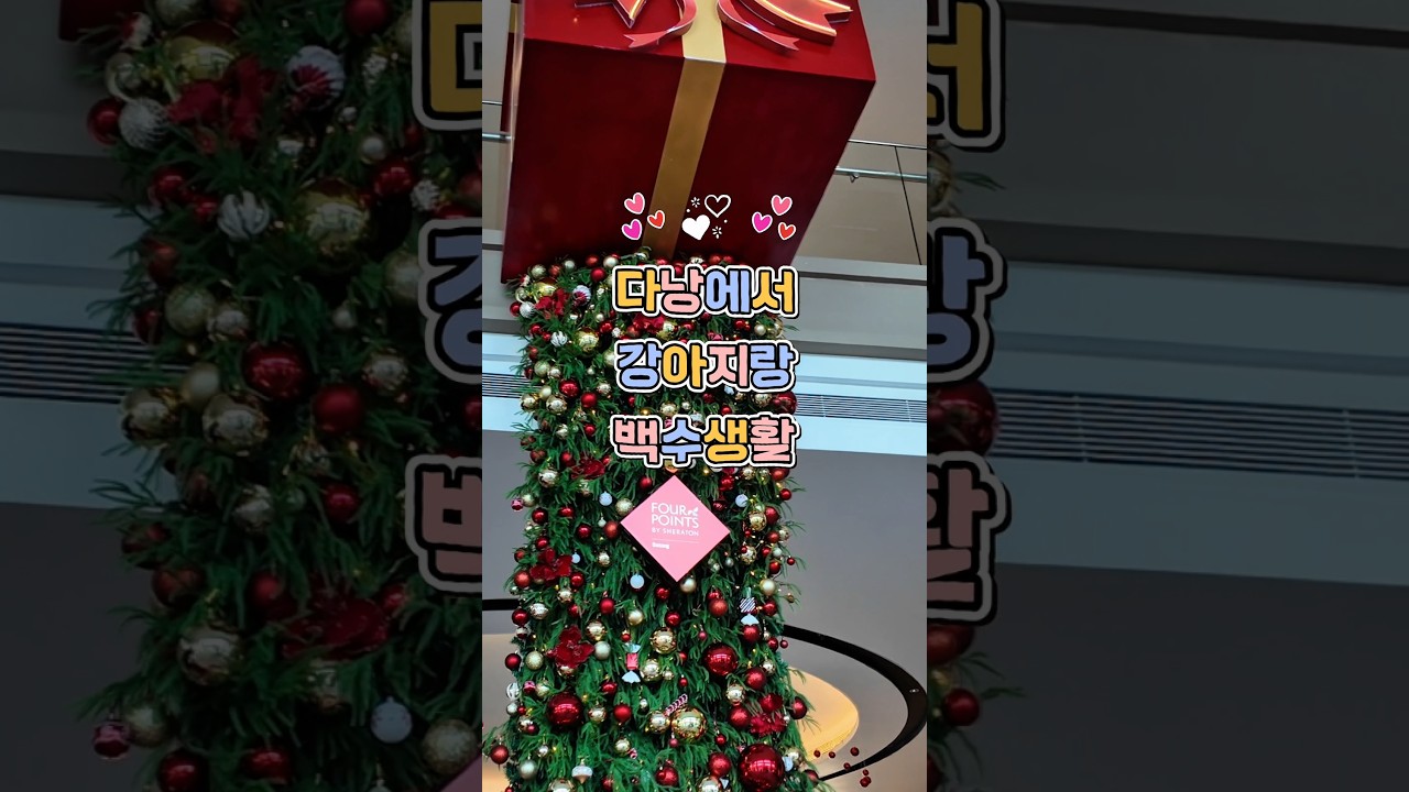 다낭 백수생활 5일차_ 다낭 반려견 동반 가능 숙소