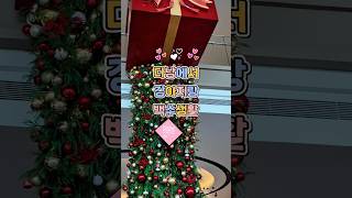 다낭 백수생활 5일차_ 다낭 반려견 동반 가능 숙소