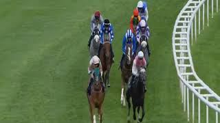 Shammat Al Hosn represented Forta Stud in the Arabian Derby at Doncaster on St Leger Day, finishing 