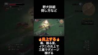 野犬詳細 倒し方など　ウィッチャー3