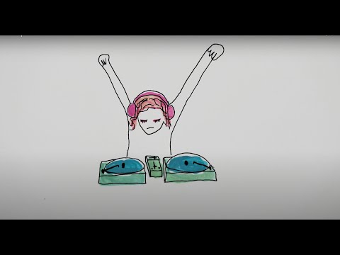 Schapka - Fahrschule Extase