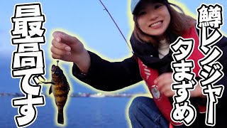 【初心者に最適】鱒レンジャーで初めての夕まずめ釣りしたら釣果が凄かった！