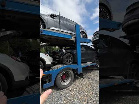Prime Auto Import Short