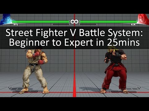 SFV: Battle System Demonstration (All Levels - Beginner to Expert)