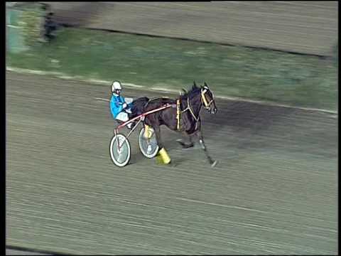 Trotto 06/11/2016 - prova di riqualifica