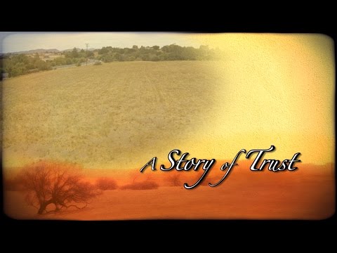 CLIP - A Story of Trust (Fall 2014)